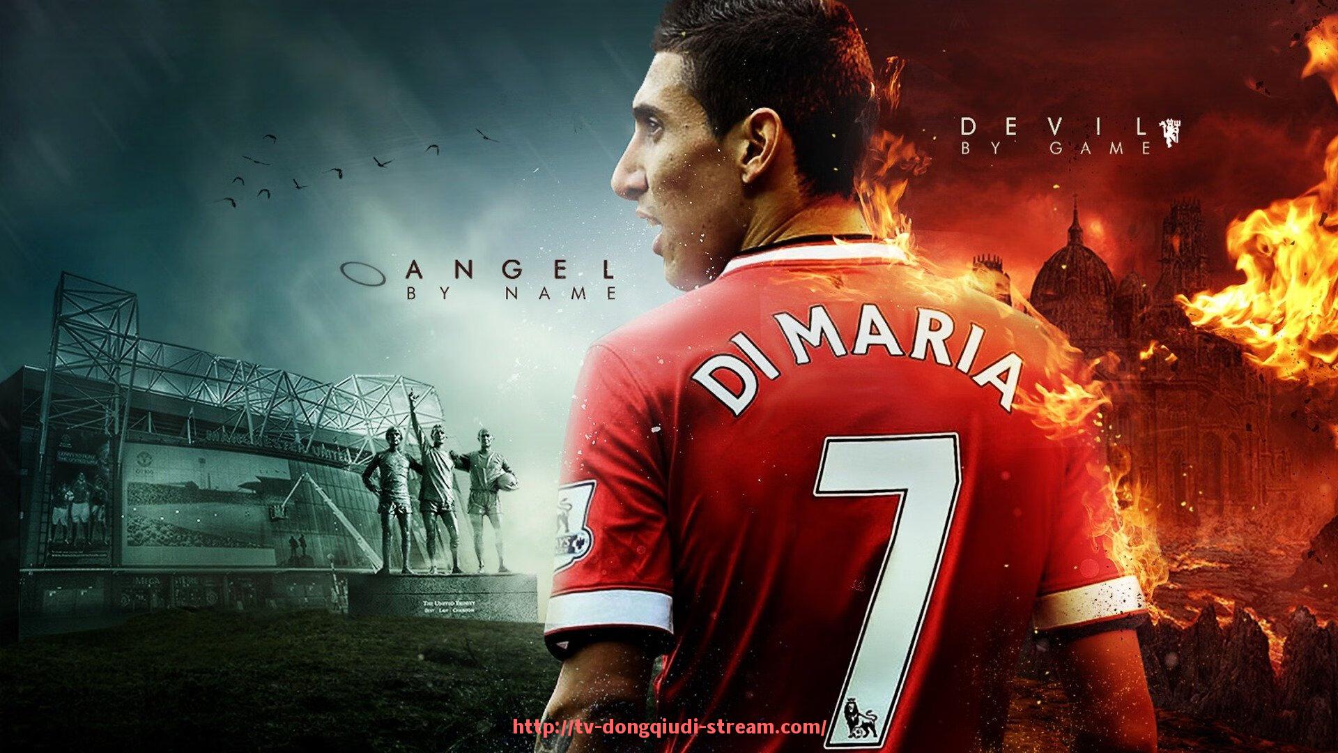 懂球帝直播-德甲球队后腰球员解析，核心中场角色的关键作用探讨