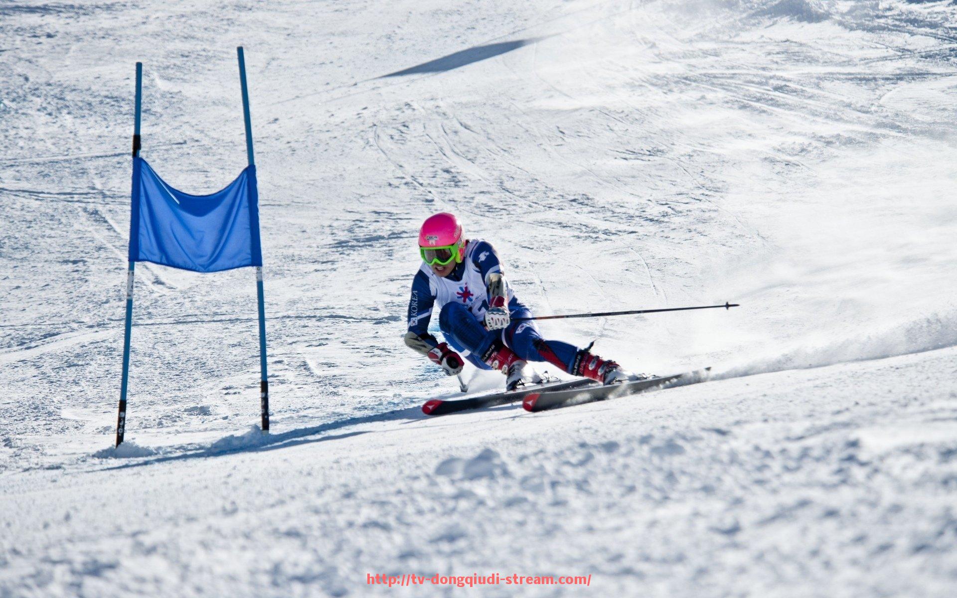 懂球帝直播-健身器材外贸公司名录与业务范围